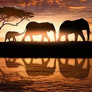 Как научиться решать проблемы через проработку задач Рода?